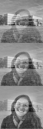  If a study participant were instructed to pay attention to “scenes” and he was attending well, he would be shown the top image as a reward. As his attention lapsed, the middle and bottom images would be shown. The face in the photograph is that of the study’s first author, Megan deBettencourt, a doctoral candidate at the Princeton Neuroscience Institute. 