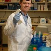 Michael Redmond Image