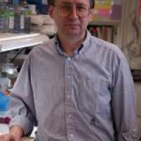 Stanislav I. Tomarev headshot