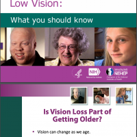 Living with Low Vision Booklet