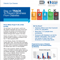 Stay on TRACK To Prevent Blindness From Diabetes