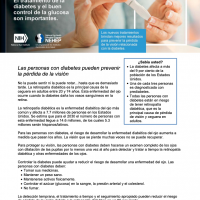 Captura de pantalla de la hoja informativa "Las personas con diabetes pueden prevenir la pérdida de la visión".