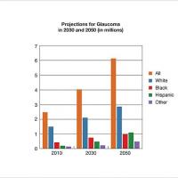 Bar chart showing projections for glaucoma prevalence in 2010, 2030, and 2050 by race