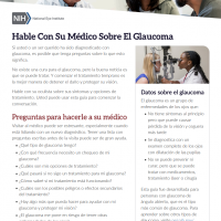 Captura de pantalla de la guía "Hable con su médico sobre el glaucoma"