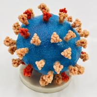 3D printed model of Sars-CoV-2