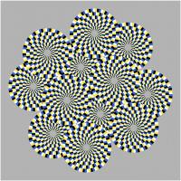 Optical illusion with circles that appear to rotate