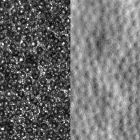 Rod and cone photoreceptors are shown in greyscale images.