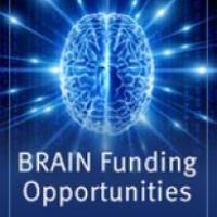 brain logo