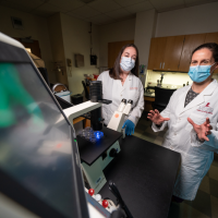 Scientists in the laboratory