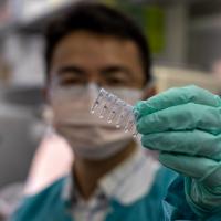Man in a laboratory holding samples in a series of transparent wells. 