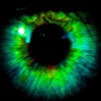 Green iris