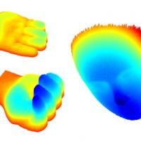 3D colorized images of open and closed hand, and a face