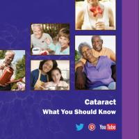 A thumbnail showing the first page of the NEI Cataracts Sheet.