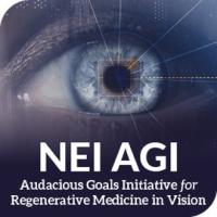 NEI AGI audacious Goals Initiative for Regenerative Medicine