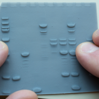 A 3D readout of a protein gel.