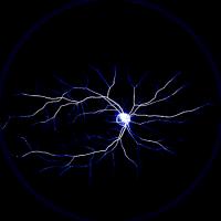 retina blood vessels