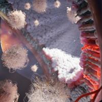 3D illustration of nanoparticle inside an eye