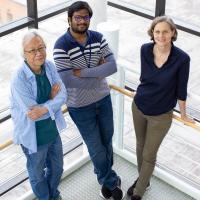 Kang, Talluri and Nienborg