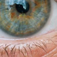 eye image