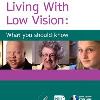 Living with Low Vision booklet cover