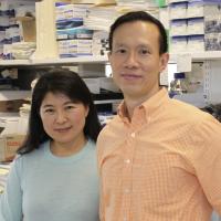 Xu Wang with Wai Wong in lab