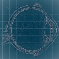 blueprint eye
